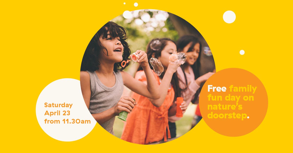 Free Family Fun Day